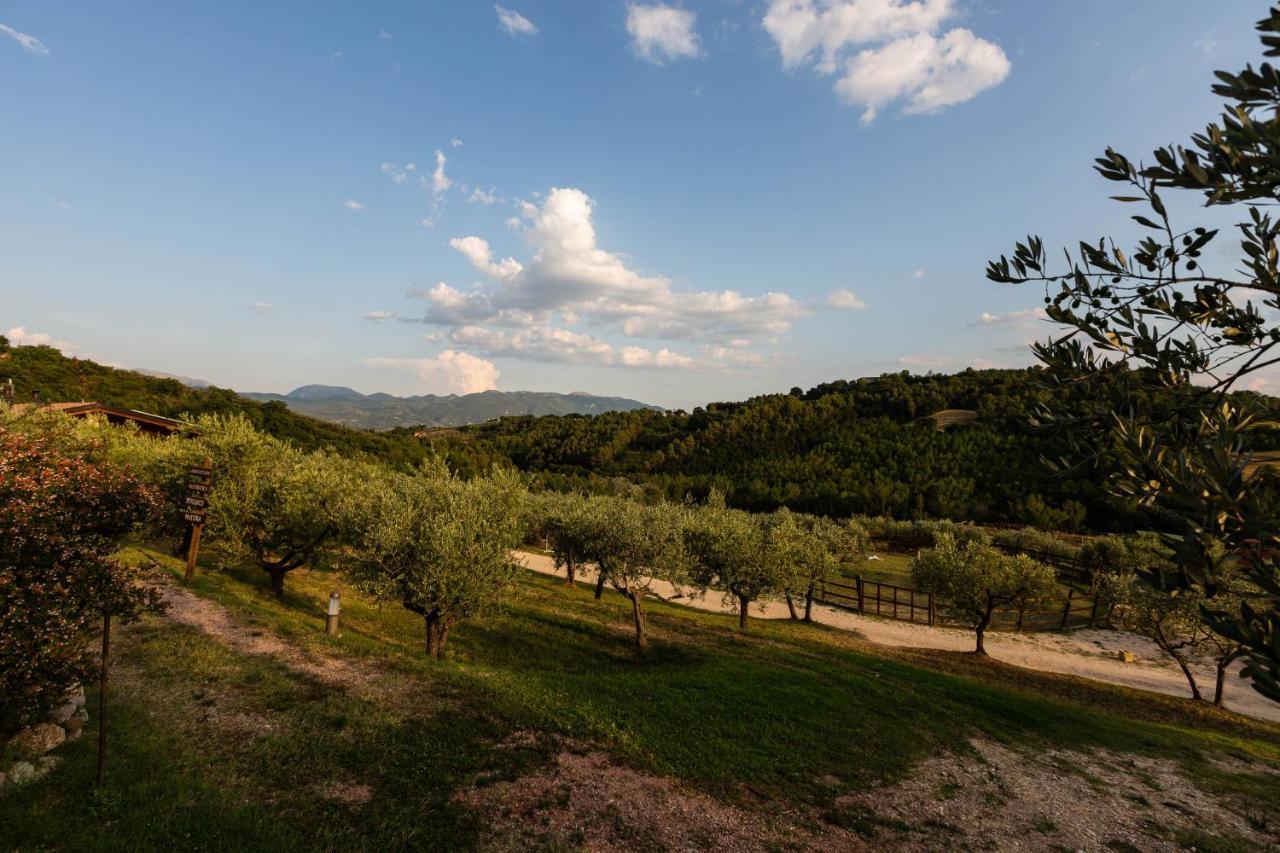 Agriturismo Agrileisuretime Spoleto Ngoại thất bức ảnh