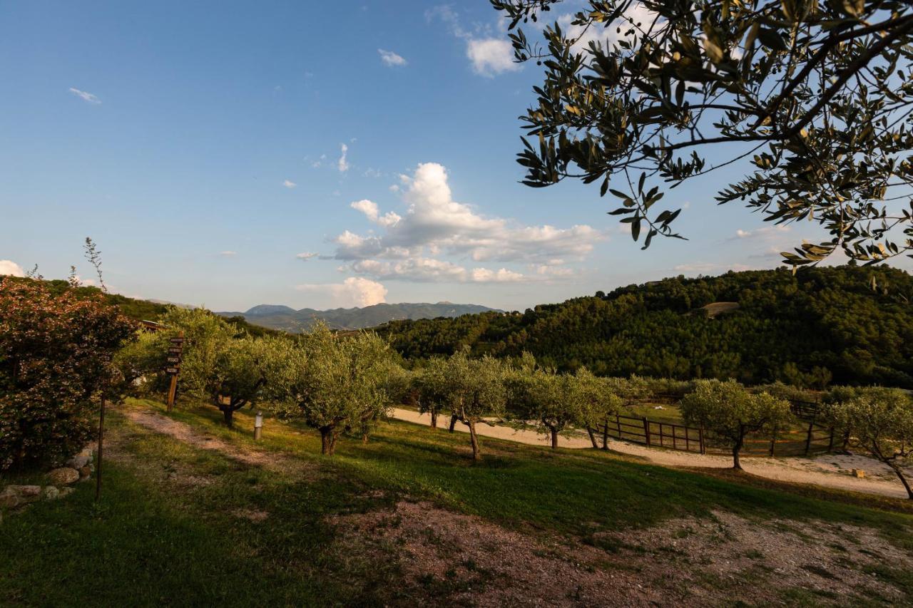 Agriturismo Agrileisuretime Spoleto Ngoại thất bức ảnh