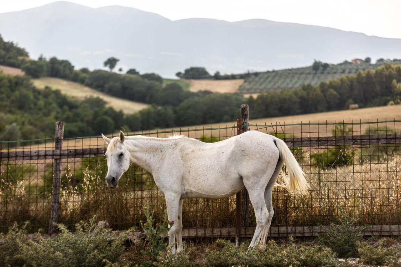 Agriturismo Agrileisuretime Spoleto Ngoại thất bức ảnh