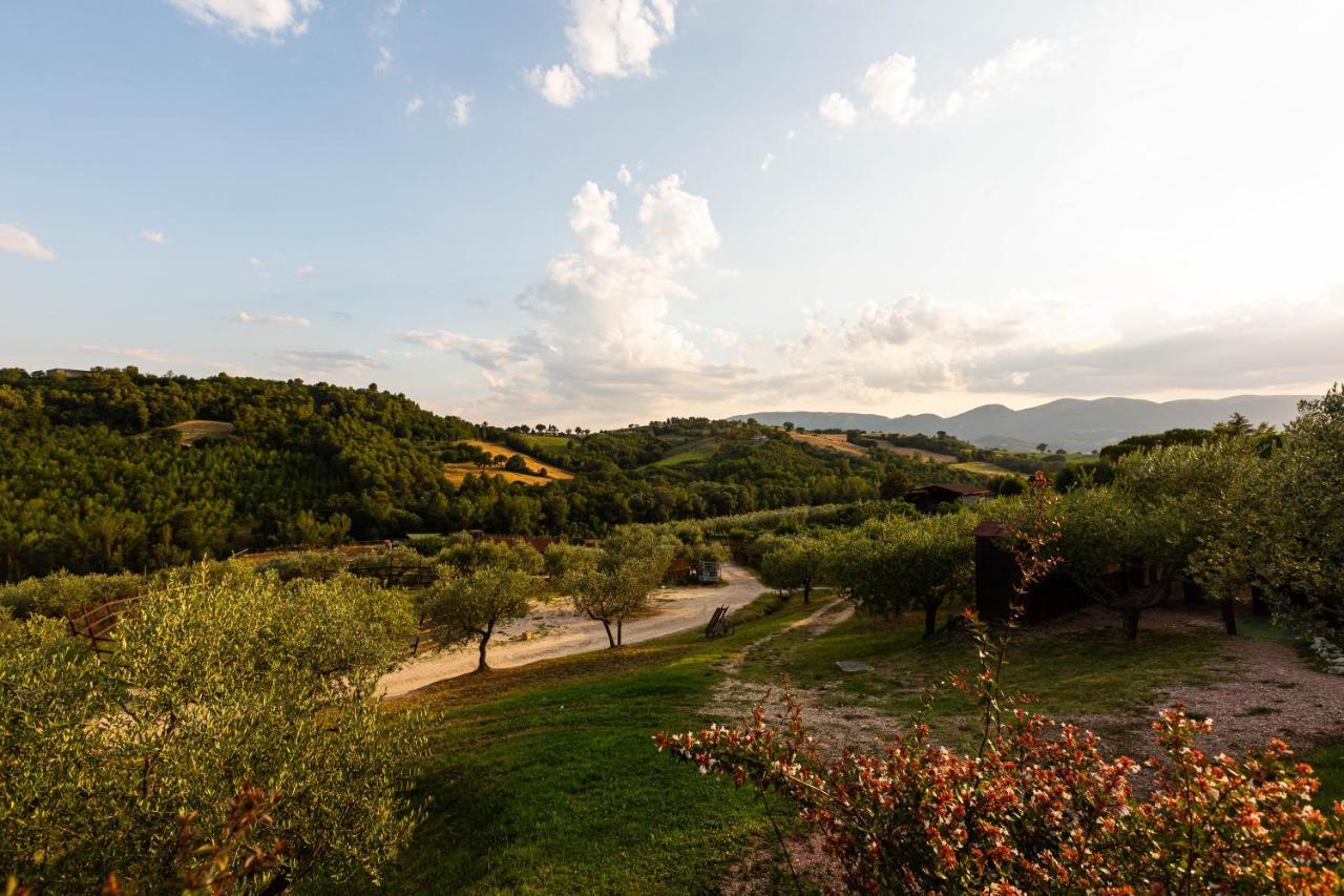 Agriturismo Agrileisuretime Spoleto Ngoại thất bức ảnh