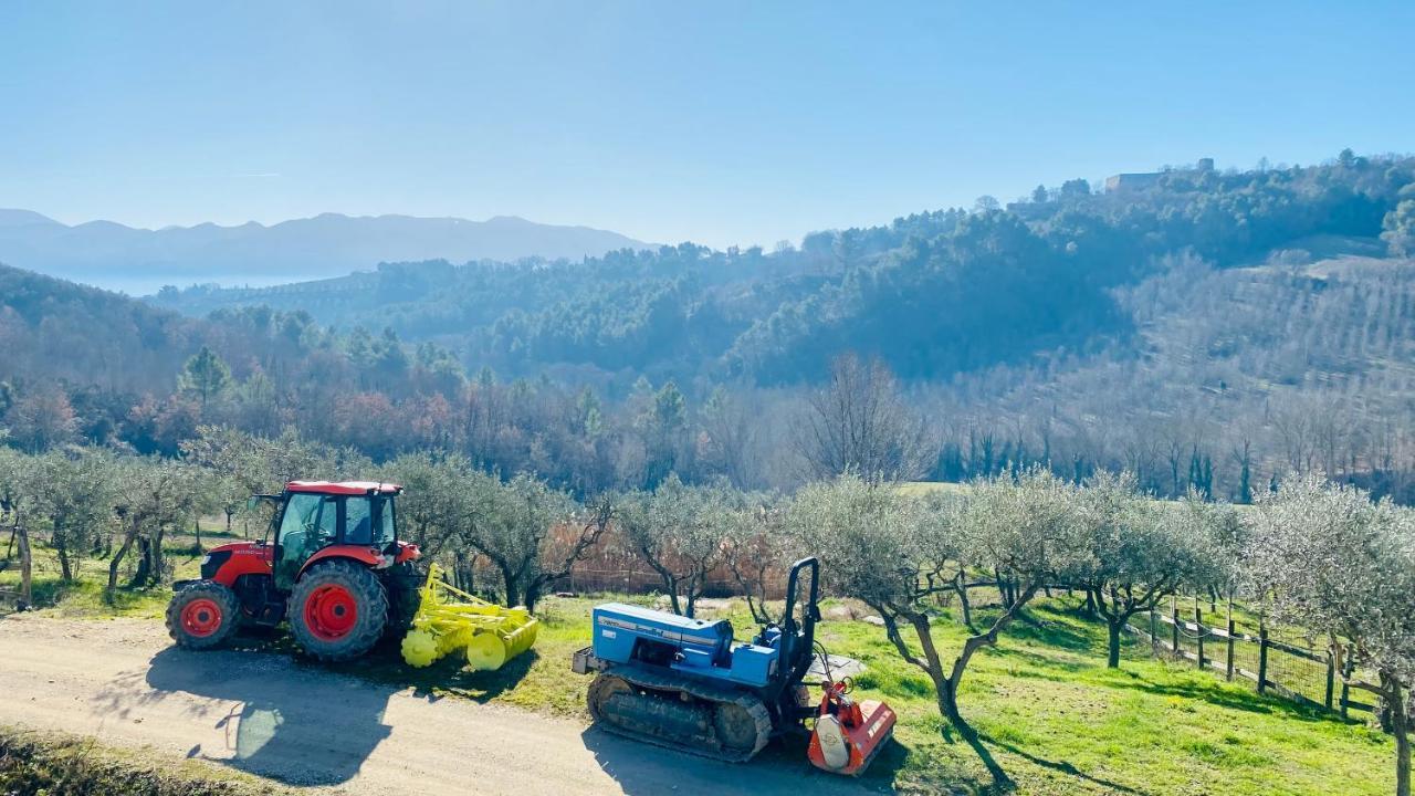 Agriturismo Agrileisuretime Spoleto Ngoại thất bức ảnh